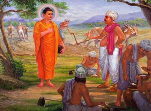 Đức Phật và quan điểm bình đẳng trên phương diện sinh học